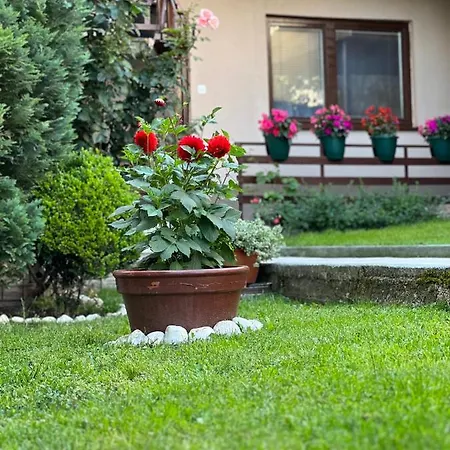 Apartman Centar Sarajevo