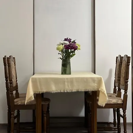 Apartment Centar *