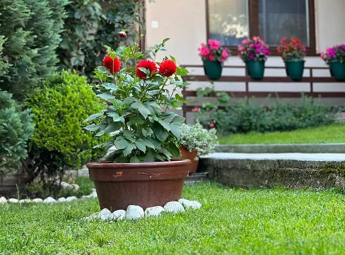 Apartament Centar Sarajewo